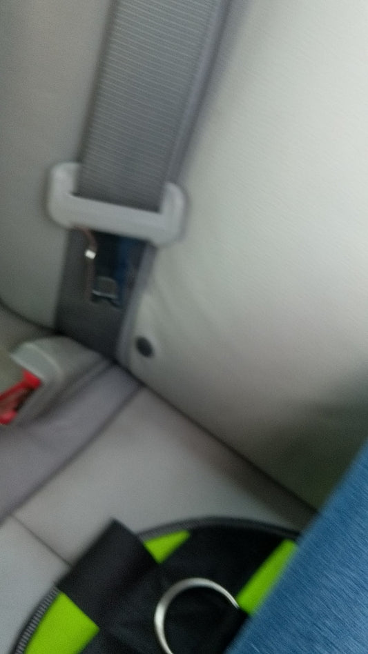 K9 Secure Ride™ – The Seat Belt Solution for Dogs